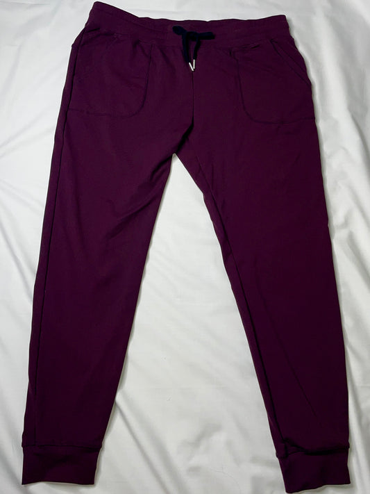 ZYIA Active Women's Pants Joggers Drawstring Nylon Spandex Stretch Purple - Size XXL